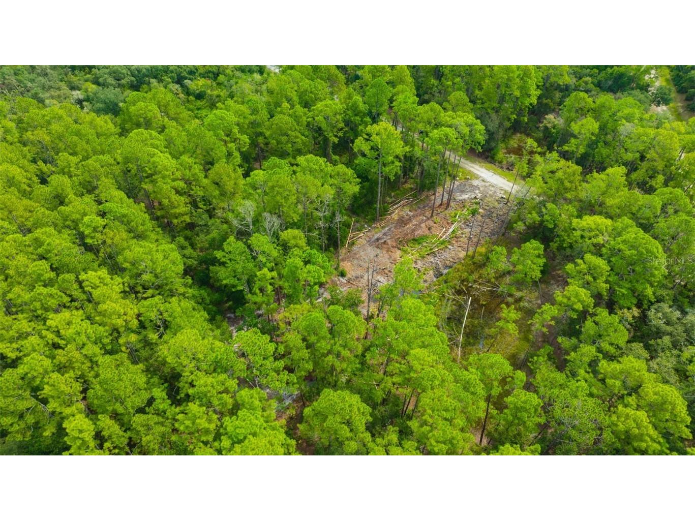 34389 Grindstone Drive Webster FL 33597 TB8426691 image15