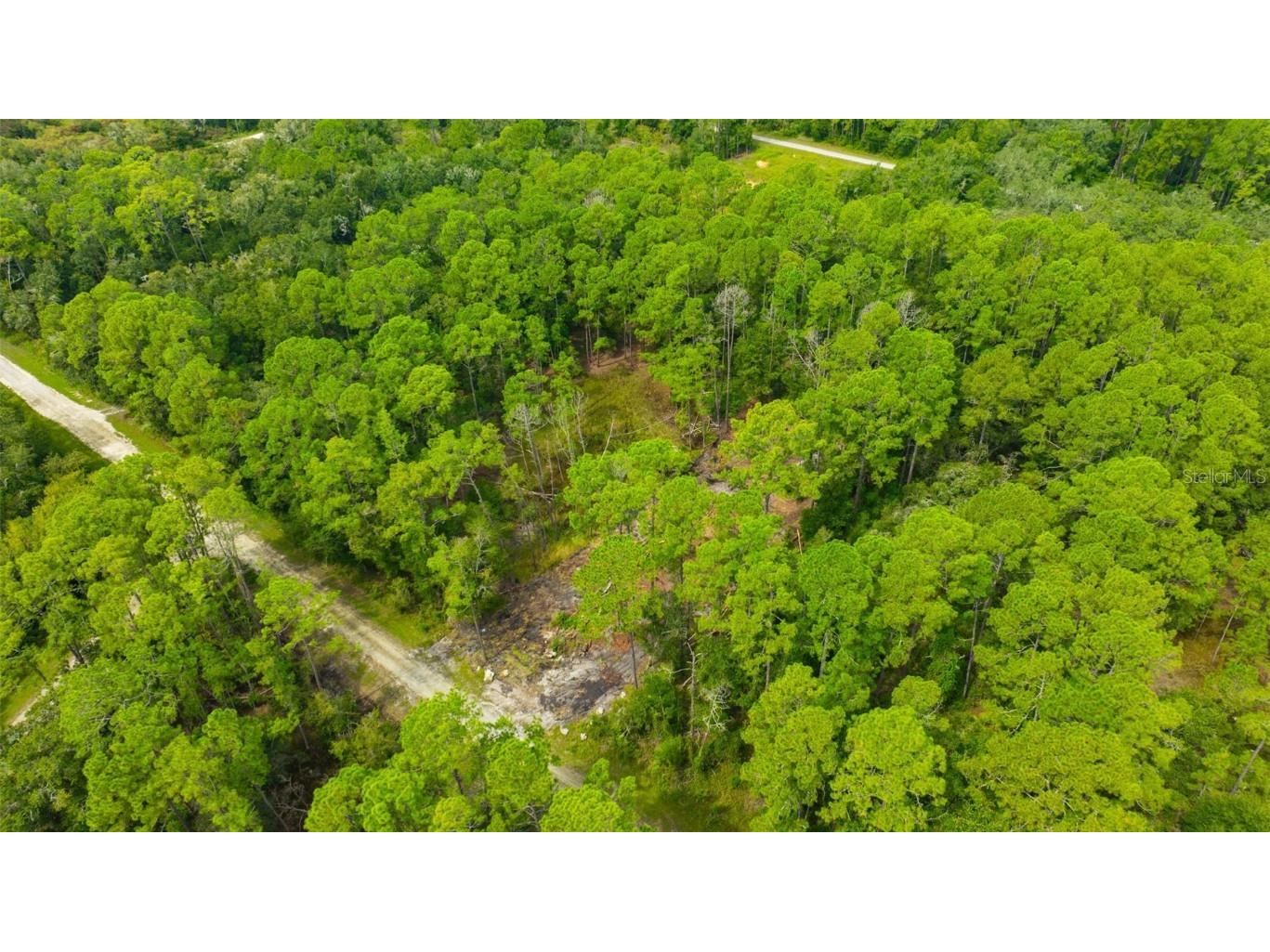 34389 Grindstone Drive Webster FL 33597 TB8426691 image16