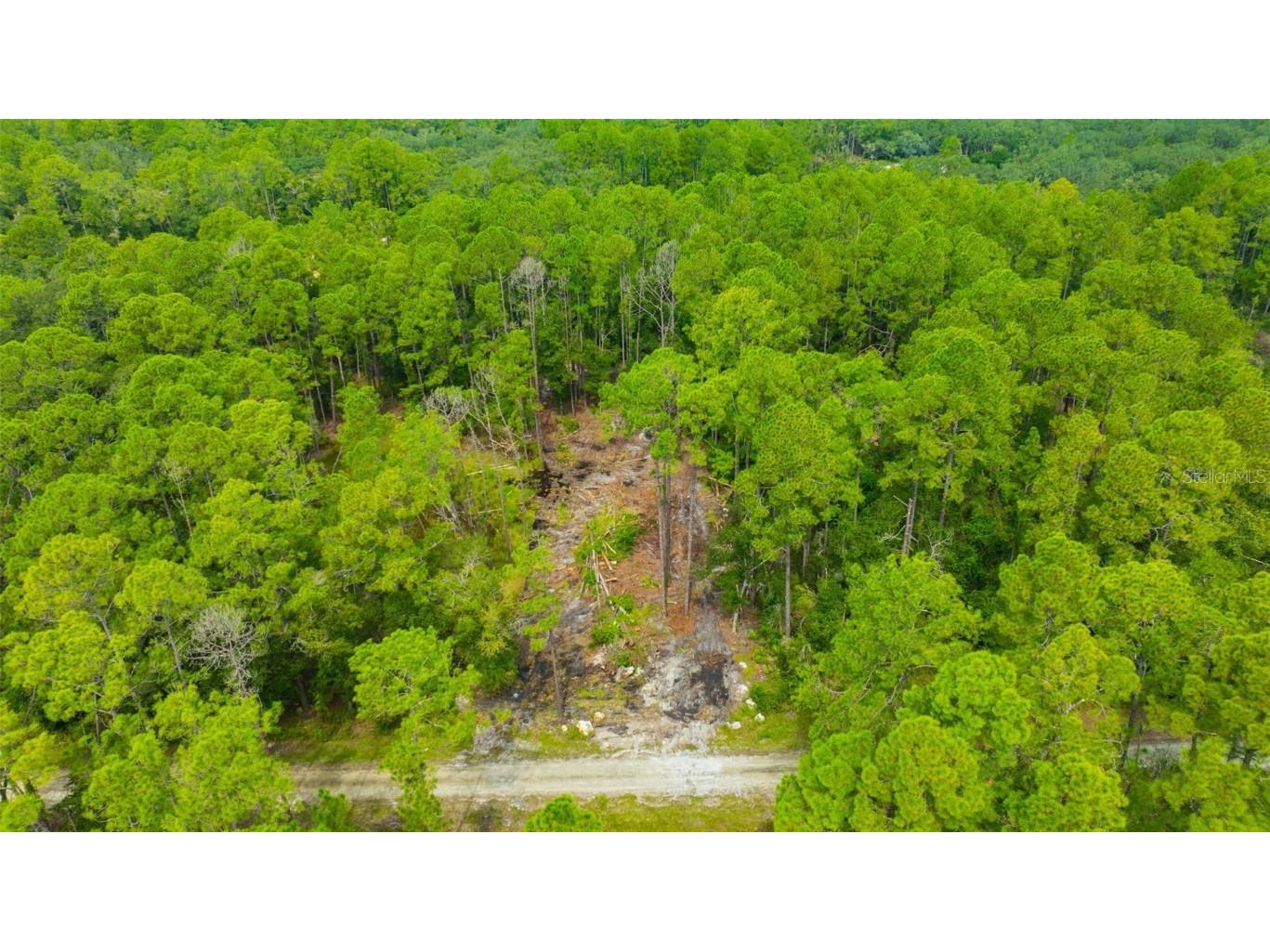 34389 Grindstone Drive Webster FL 33597 TB8426691 image17