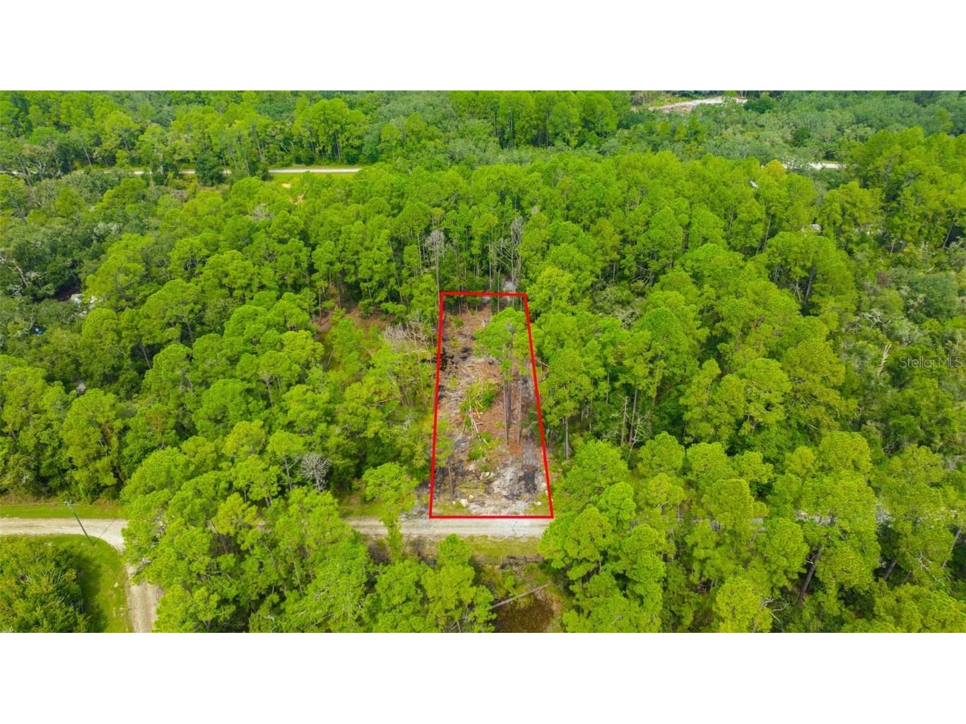 34389 Grindstone Drive Webster FL 33597 TB8426691 image18