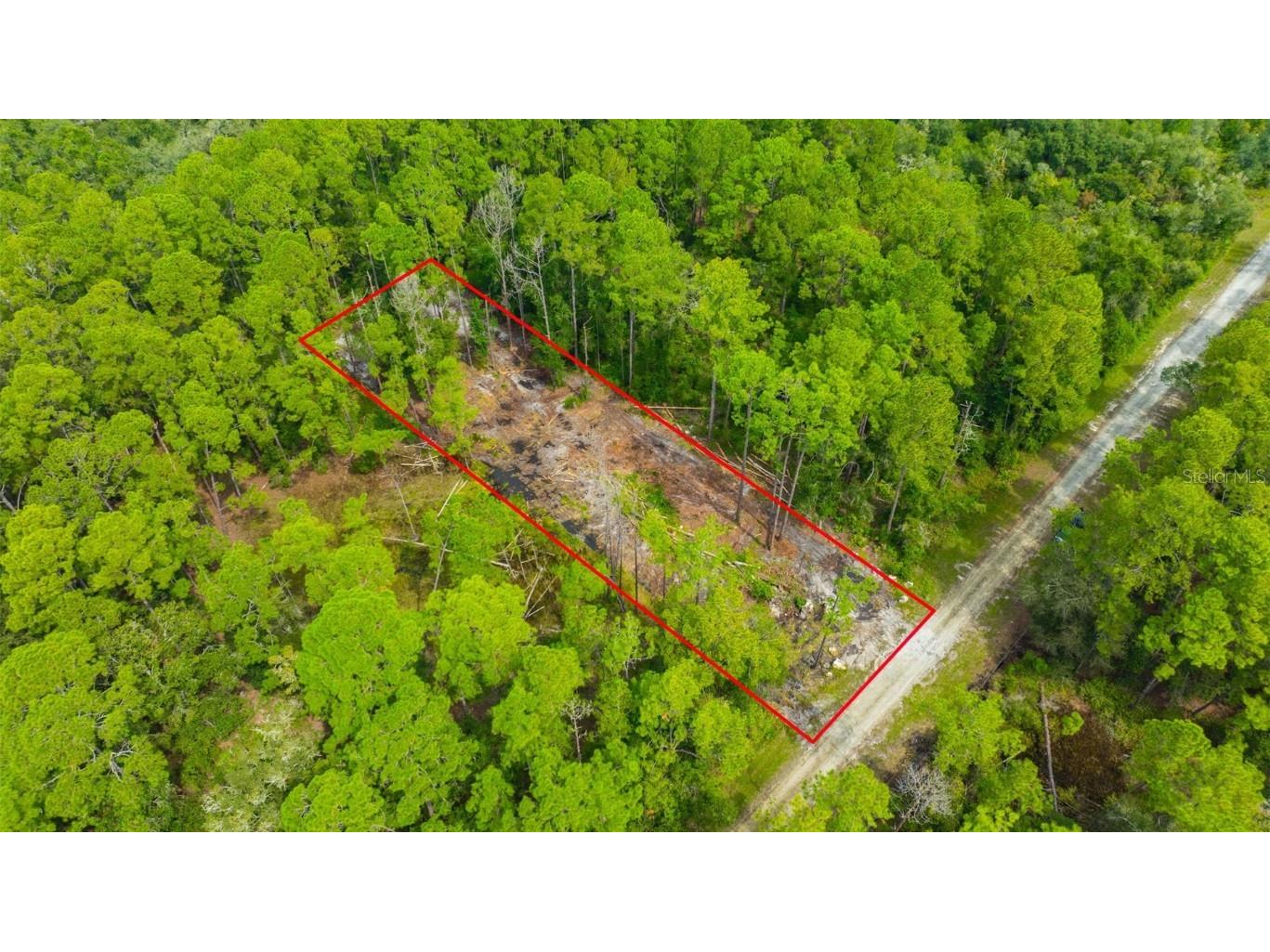 34389 Grindstone Drive Webster FL 33597 TB8426691 image19