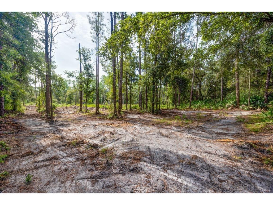 34389 Grindstone Drive Webster FL 33597 TB8426691 image5