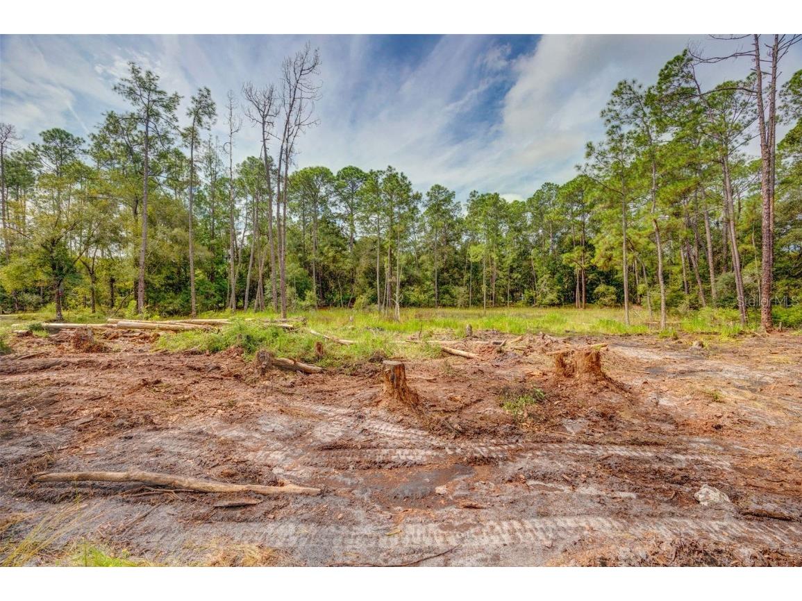 34389 Grindstone Drive Webster FL 33597 TB8426691 image6