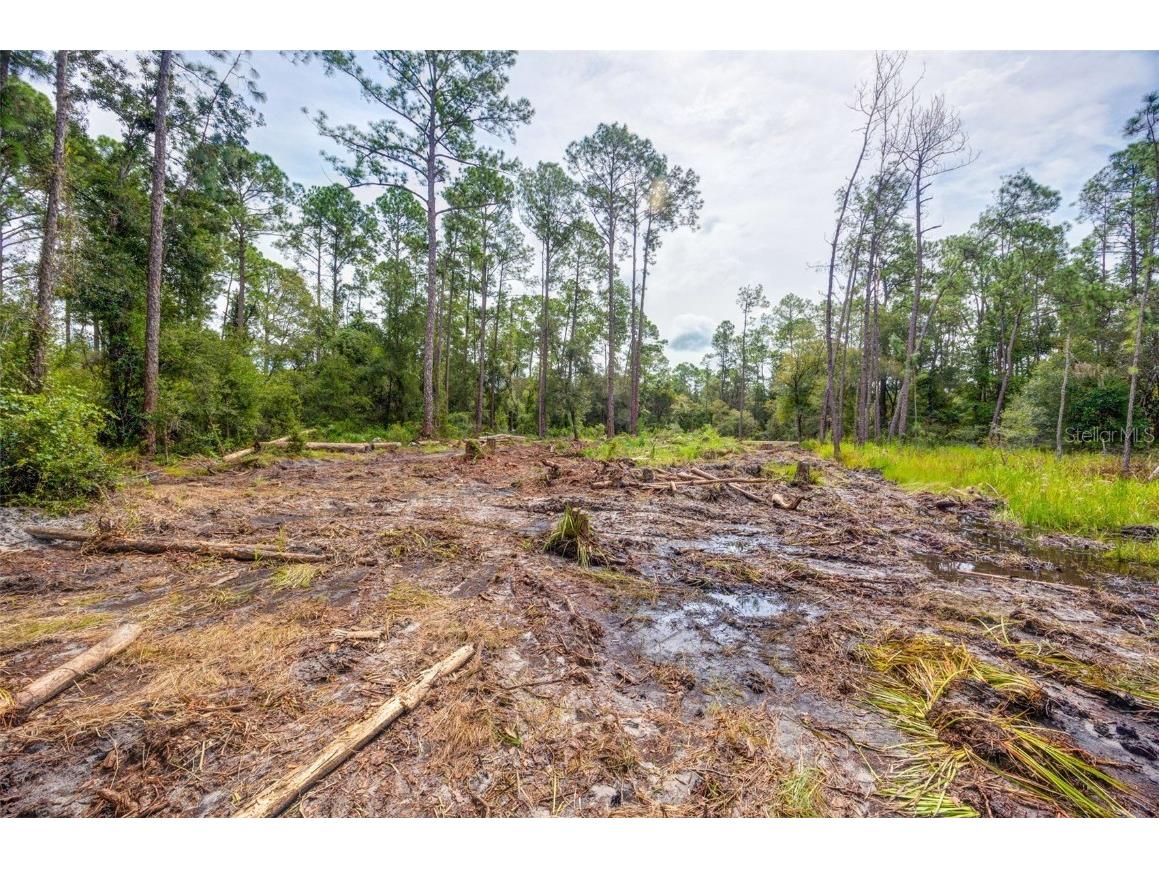 34389 Grindstone Drive Webster FL 33597 TB8426691 image7