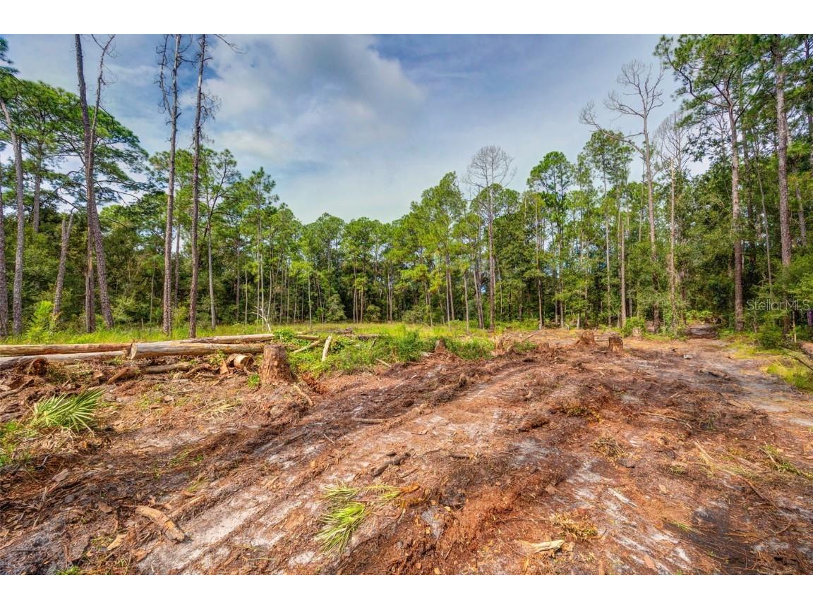 34389 Grindstone Drive Webster FL 33597 TB8426691 image8