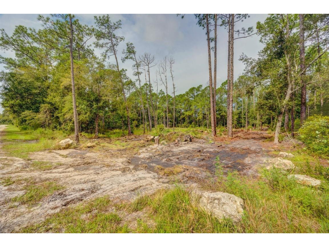 34389 Grindstone Drive Webster FL 33597 TB8426691 image9