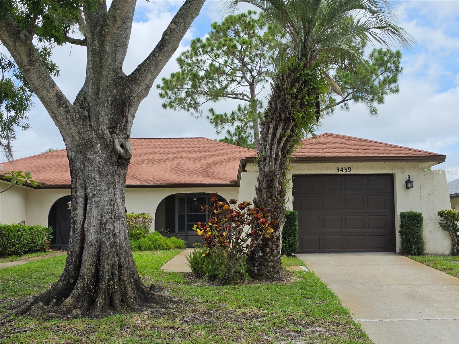 3439 Maclaren Drive Palm Harbor FL 34684 TB8515152 image1