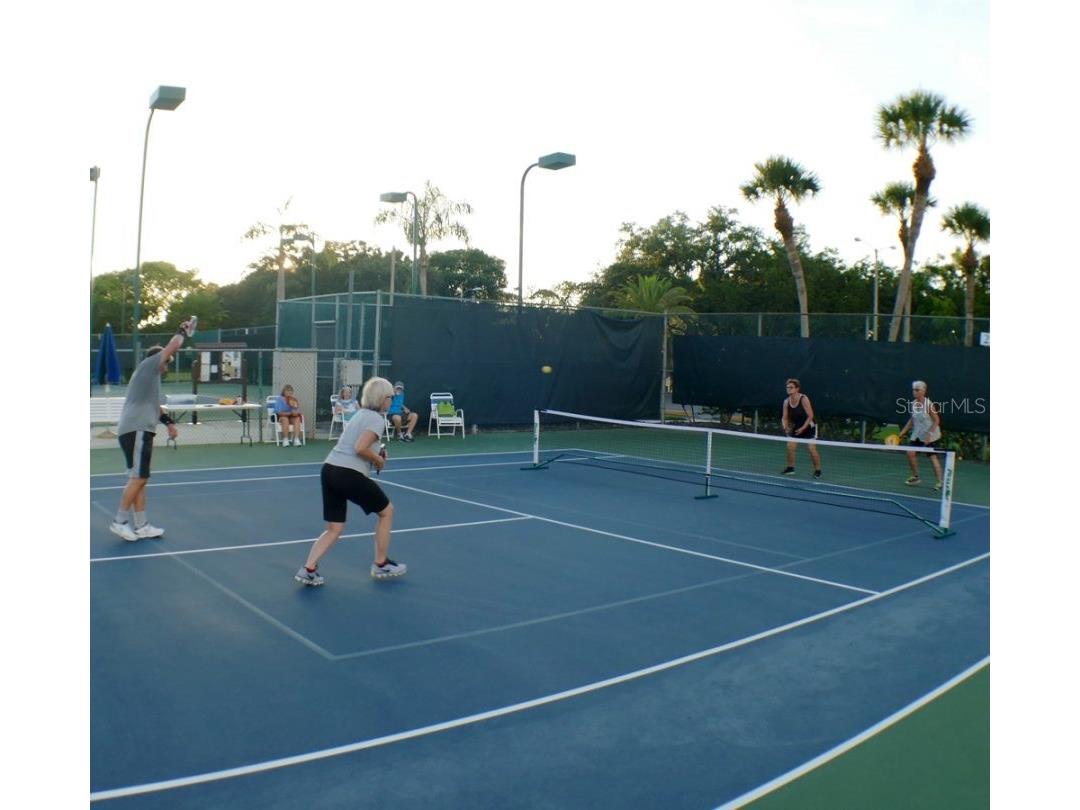 3439 Maclaren Drive Palm Harbor FL 34684 TB8515152 image44