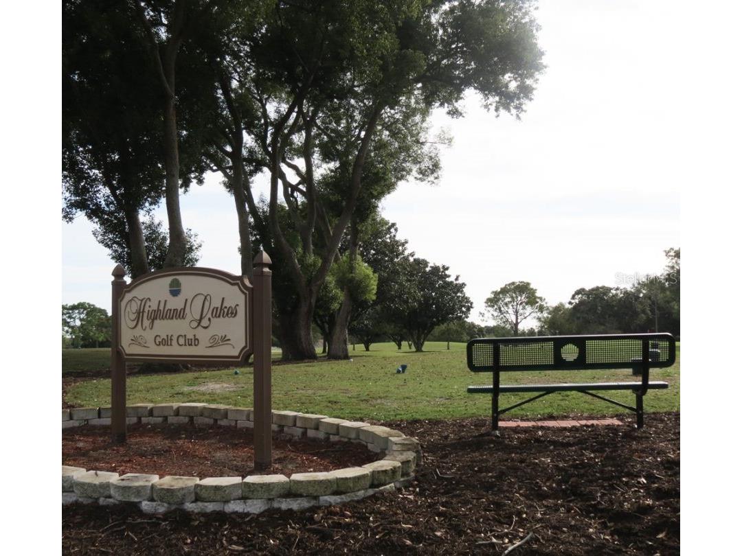 3439 Maclaren Drive Palm Harbor FL 34684 TB8515152 image45