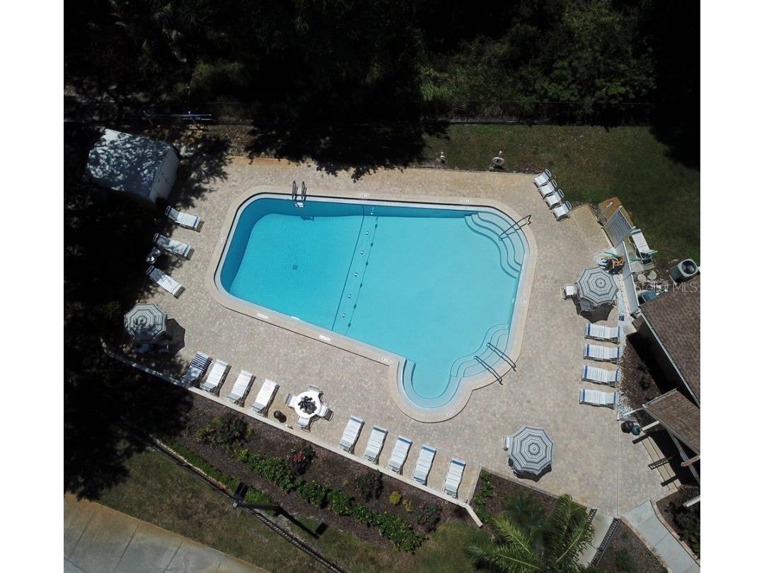3439 Maclaren Drive Palm Harbor FL 34684 TB8515152 image50