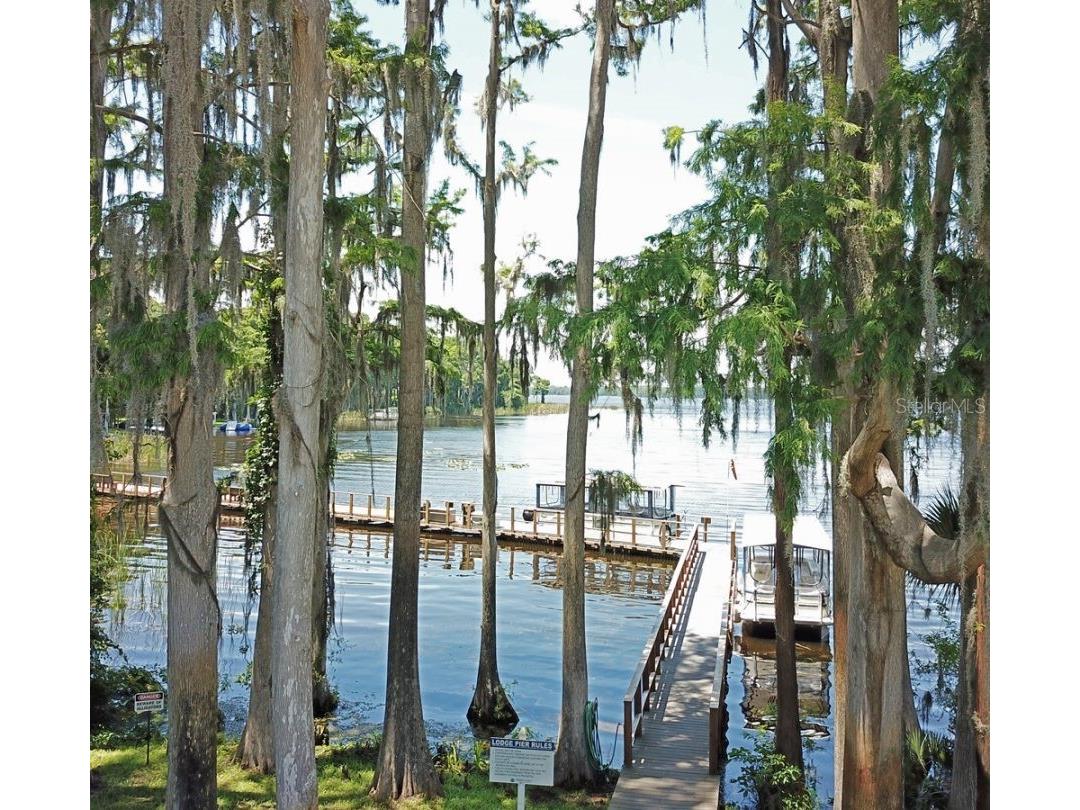 3439 Maclaren Drive Palm Harbor FL 34684 TB8515152 image52