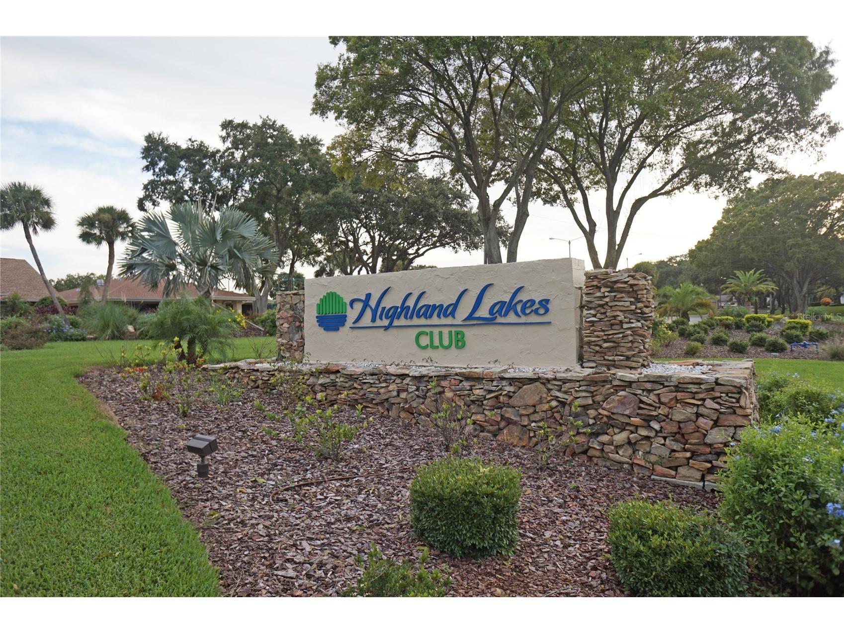 3439 Maclaren Drive Palm Harbor FL 34684 TB8515152 image56