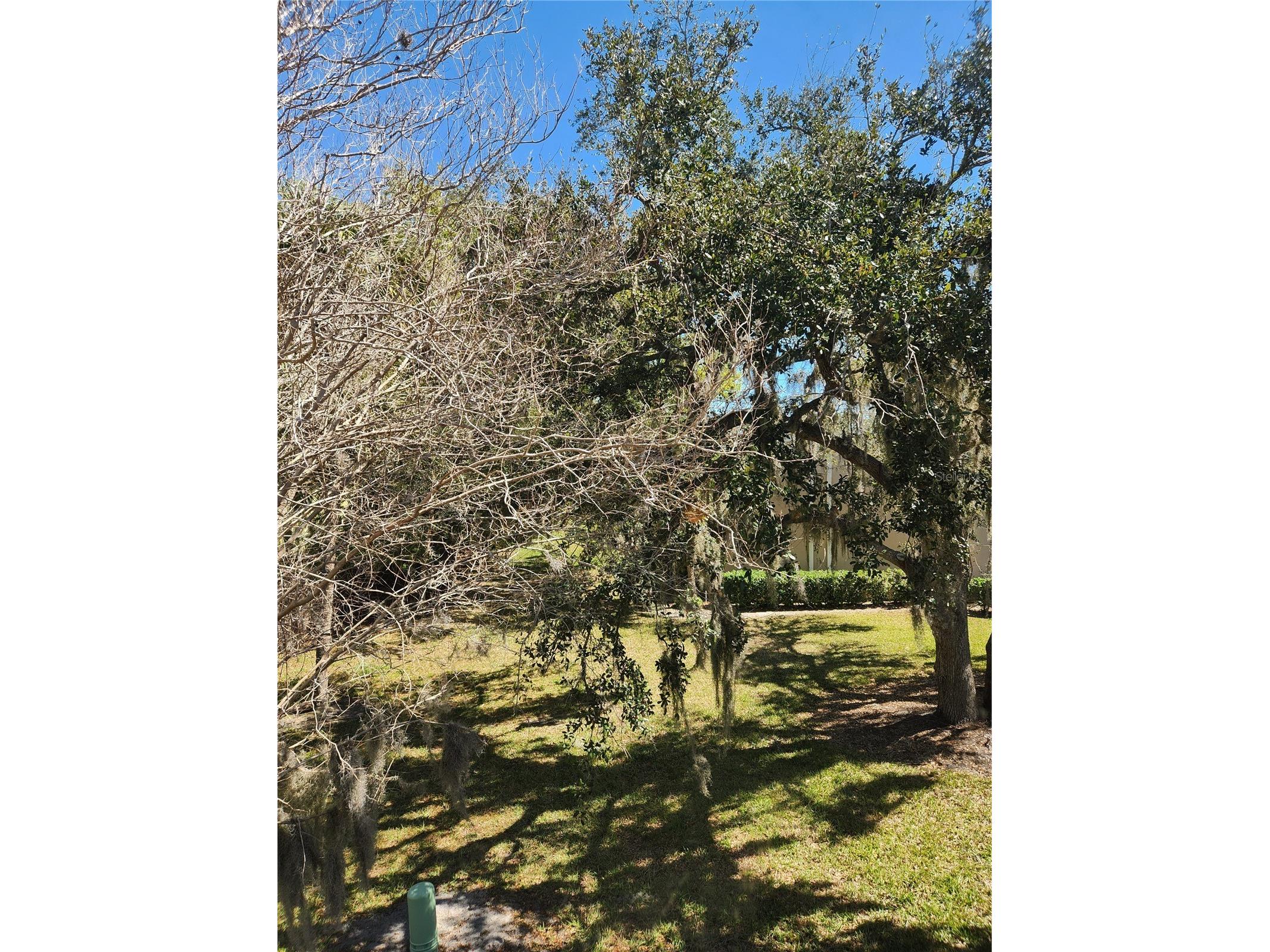 3439 Tallywood Lane #7139 Sarasota FL 34237 A4683744 image20