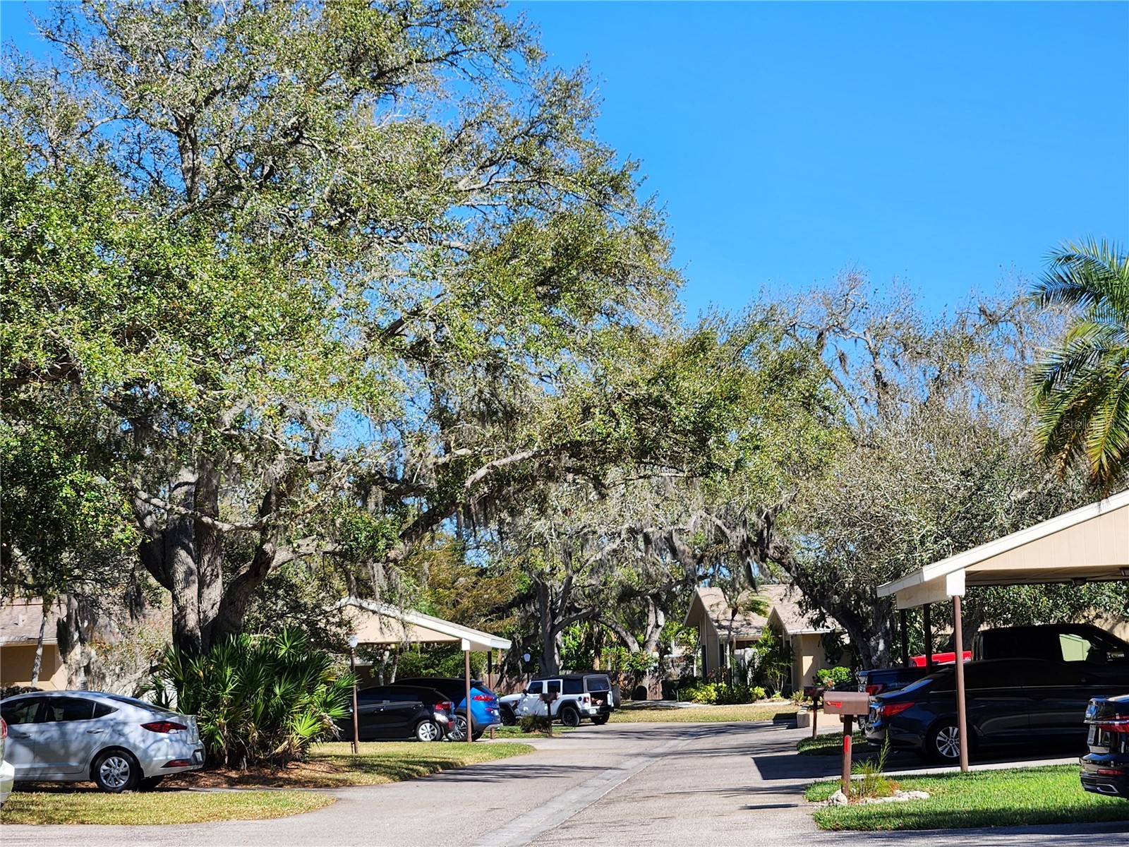 3439 Tallywood Lane #7139 Sarasota FL 34237 A4683744 image34
