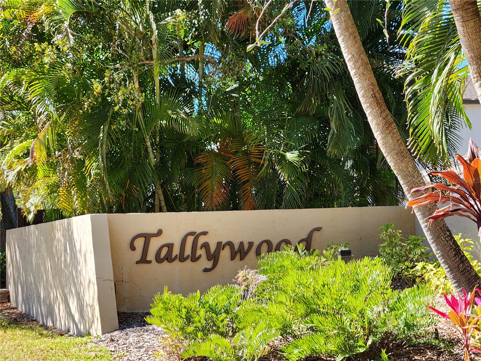 3439 Tallywood Lane #7139 Sarasota FL 34237 A4683744 image35