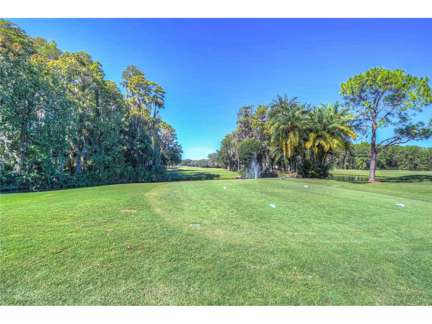 3439 Teeside Drive #0 New Port Richey FL 34655 W7884270 image70