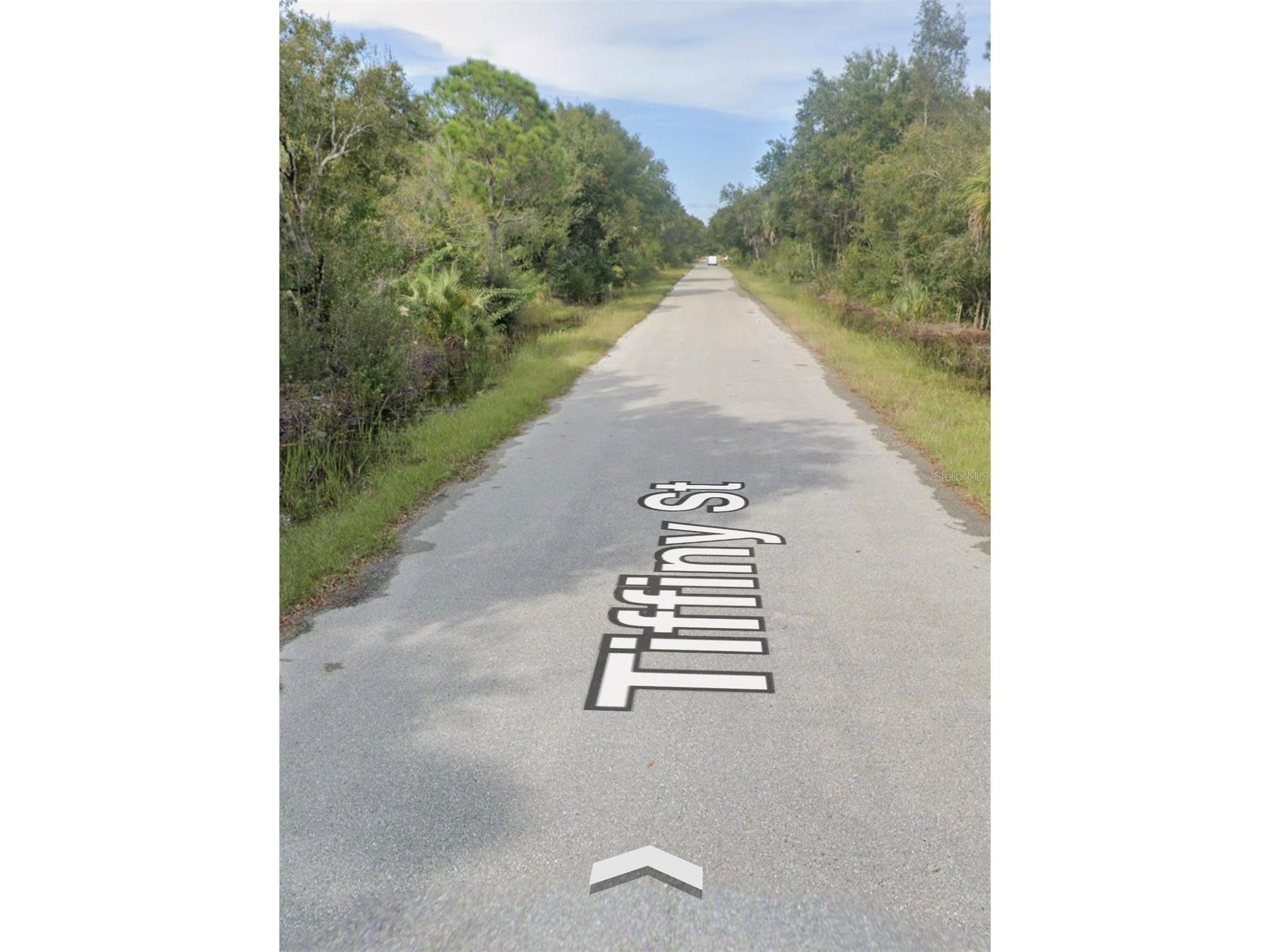 3439 Tiffiny Street Punta Gorda FL 33980 TB8495105 image3
