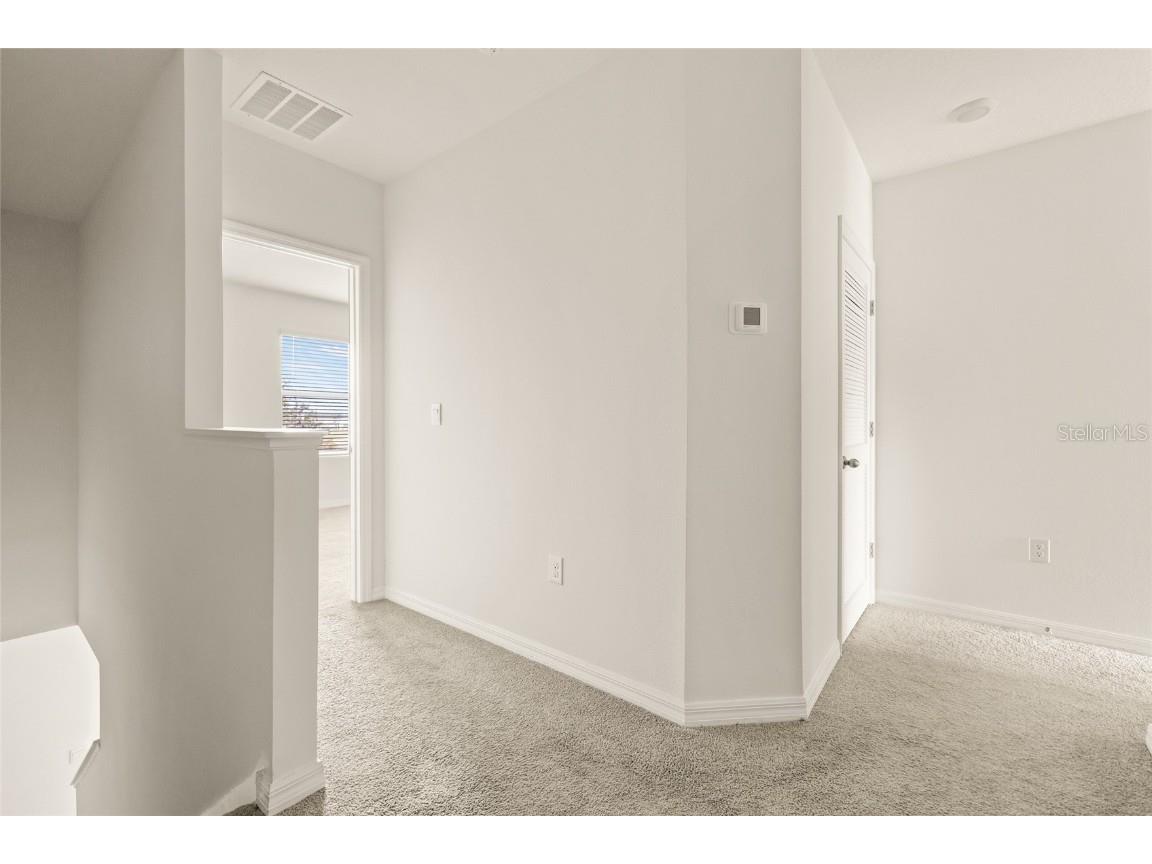 34395 Soreel Mint Drive Wesley Chapel FL 33543 TB8339868 image24