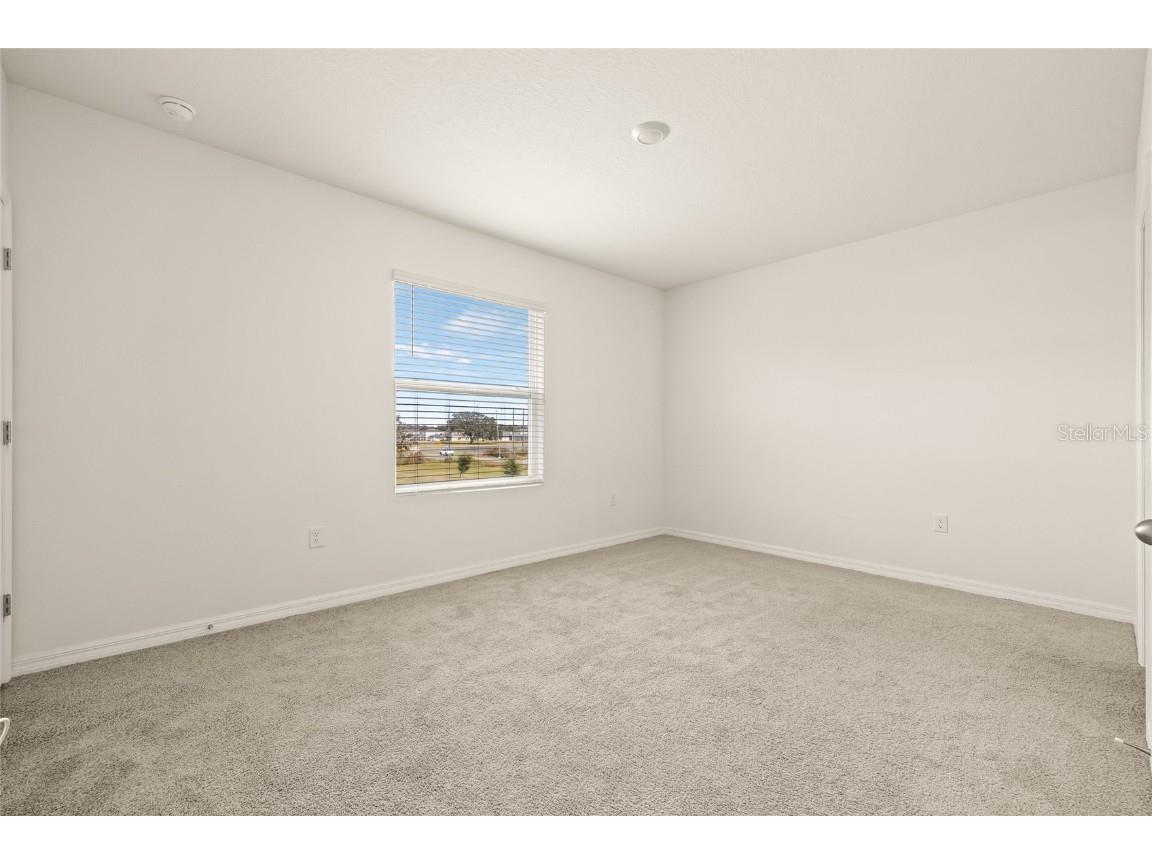 34395 Soreel Mint Drive Wesley Chapel FL 33543 TB8339868 image25