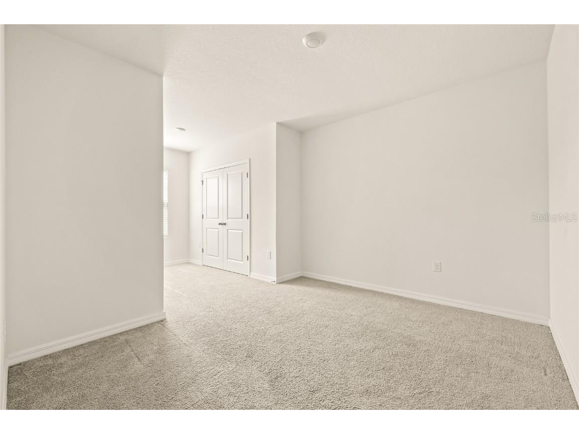 34395 Sorrel Mint Drive Wesley Chapel FL 33543 TB8341406 image25