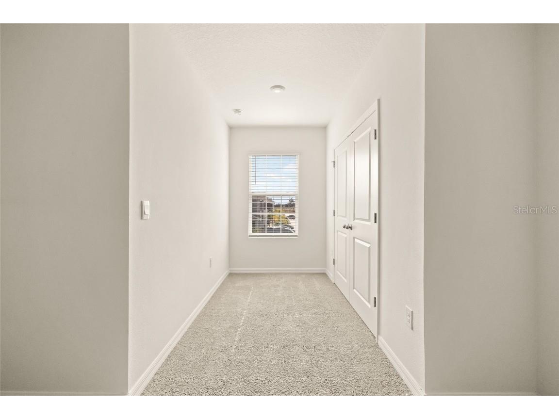 34395 Sorrel Mint Drive Wesley Chapel FL 33543 TB8341406 image26