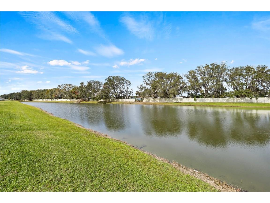 34395 Sorrel Mint Drive Wesley Chapel FL 33543 TB8341406 image36