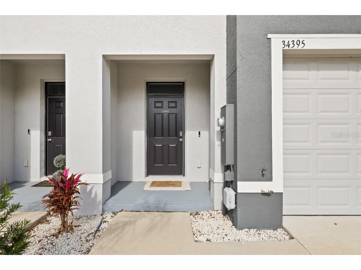 34395 Sorrel Mint Drive Wesley Chapel FL 33543 TB8341406 image5