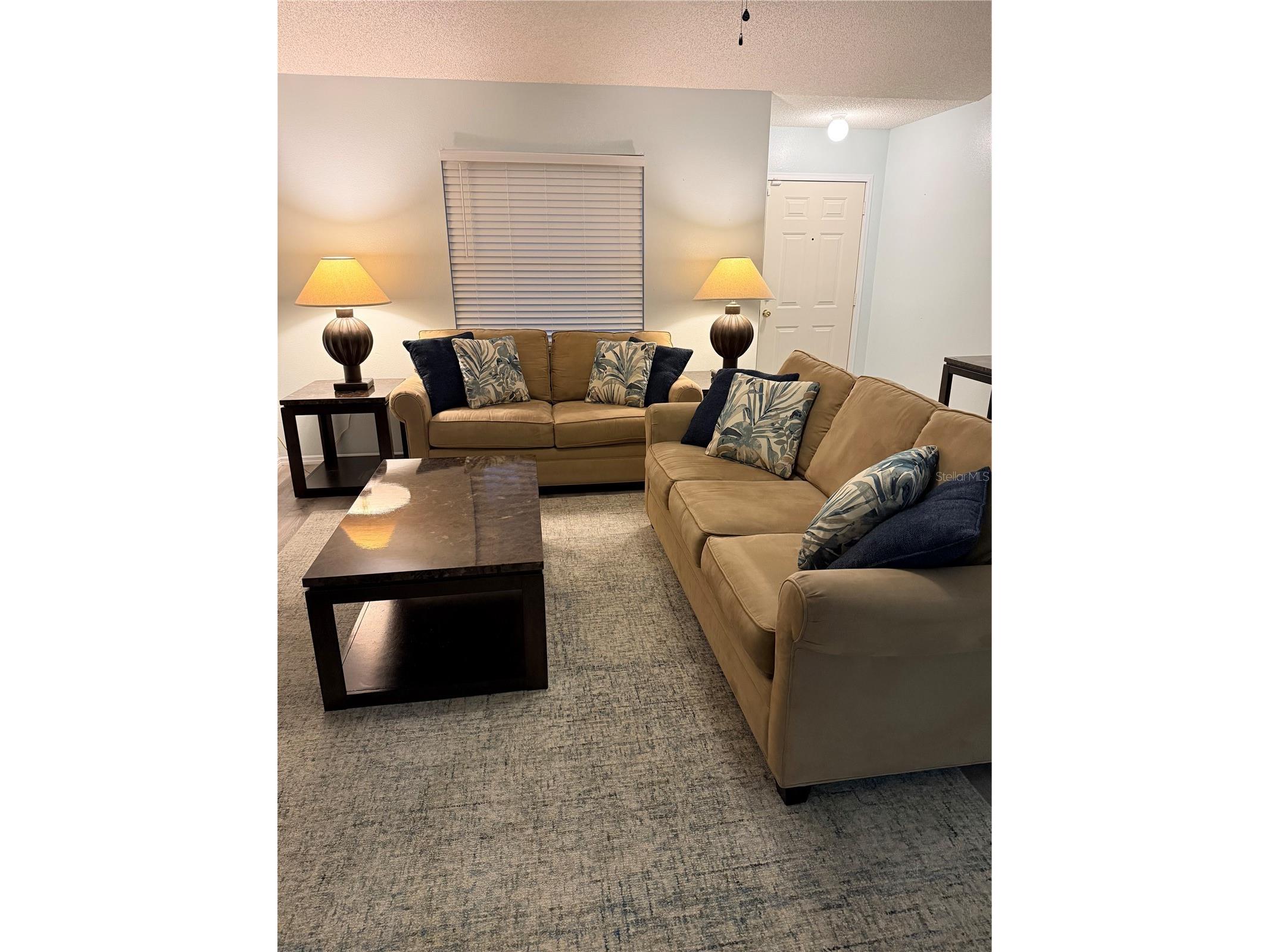 344 49th Street W Palmetto FL 34221 A4692859 image4