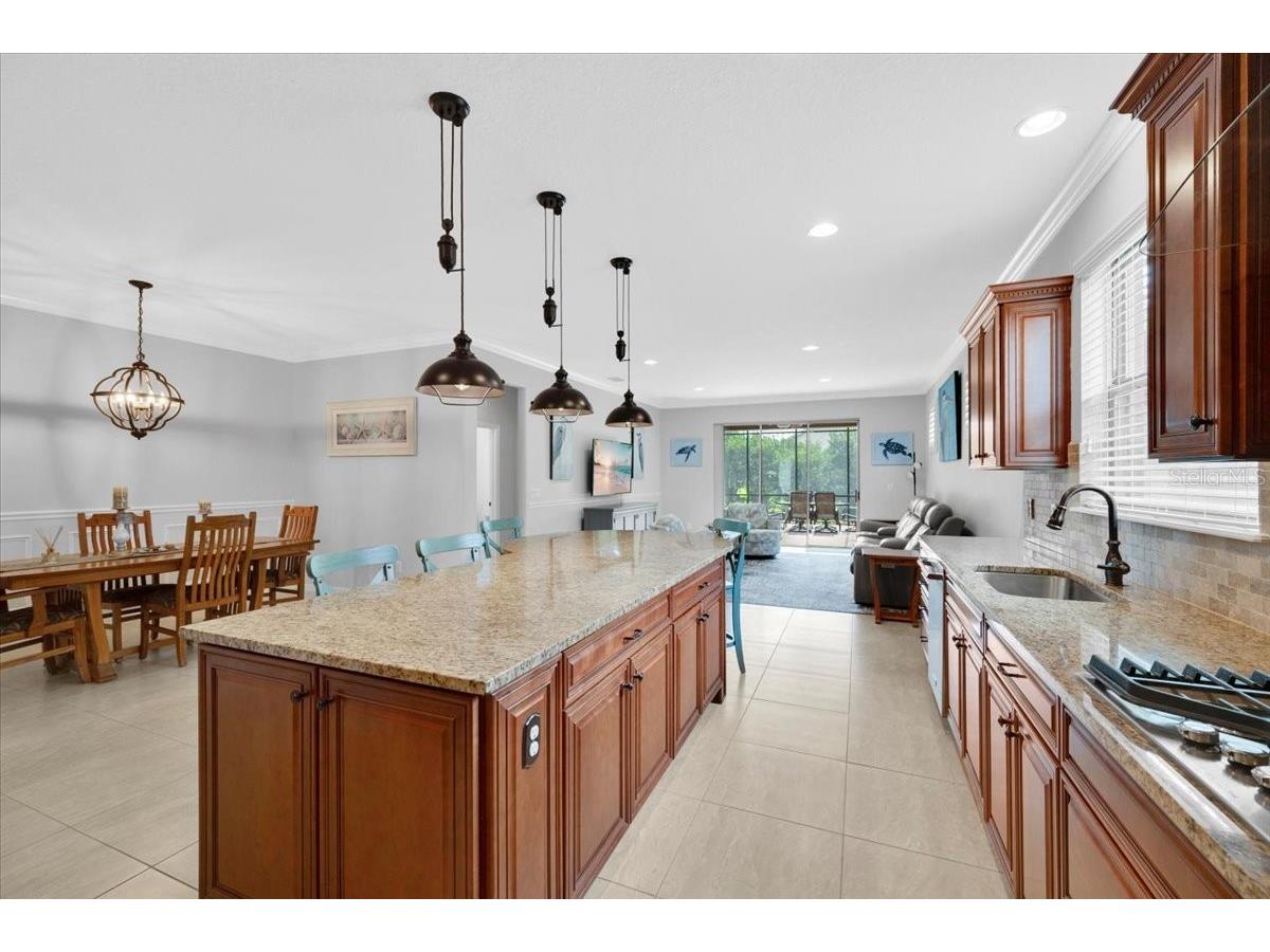 344 Alicante Ct Davenport FL 33837 L4962305 image11