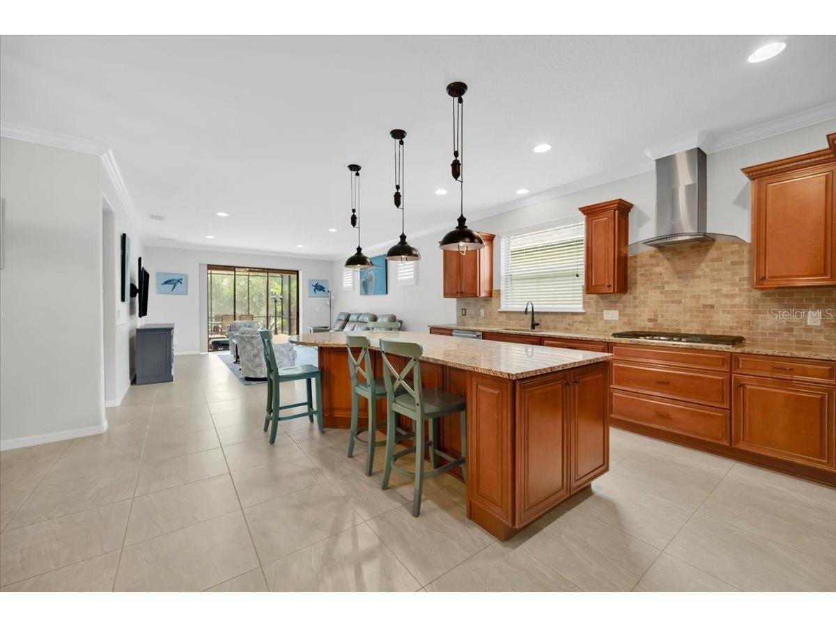 344 Alicante Ct Davenport FL 33837 L4962305 image17