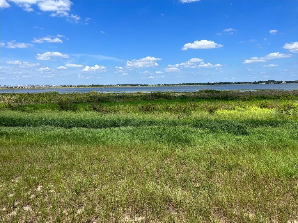 344 Caladium Ave Lake Alfred FL 33850 - LAKE ALFRED O6119632 image10