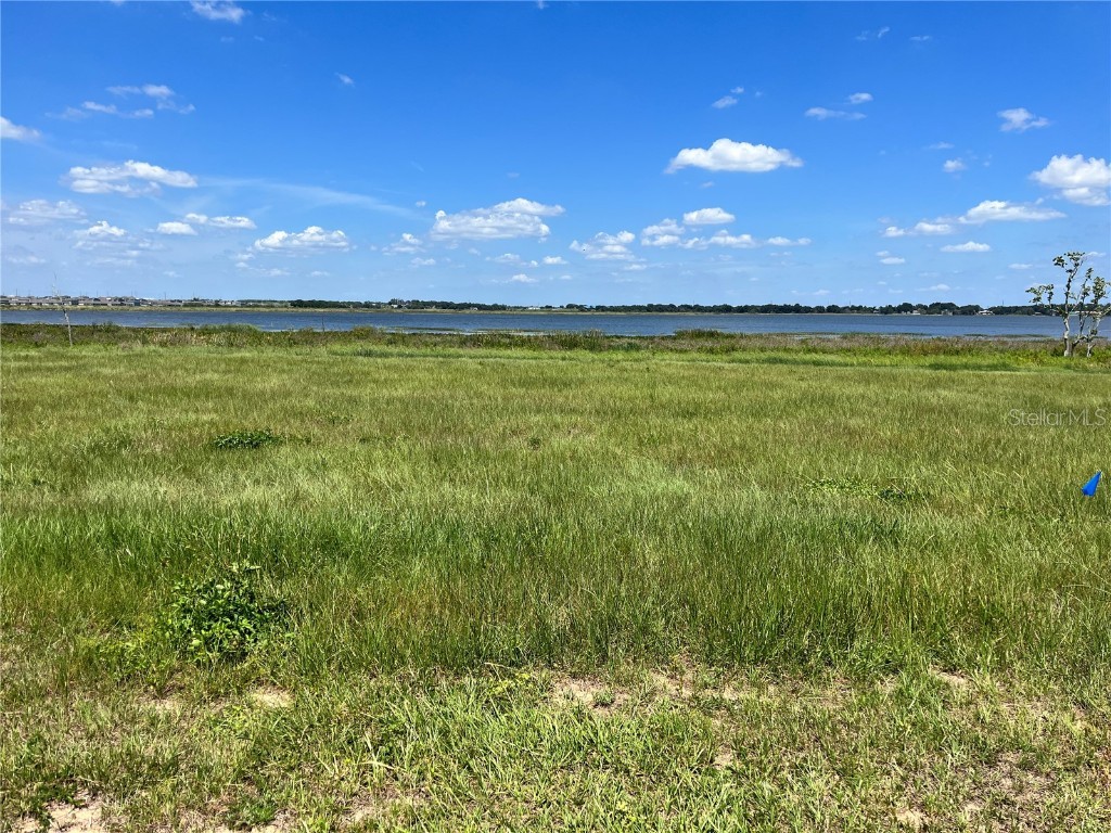 344 Caladium Ave Lake Alfred FL 33850 - LAKE ALFRED O6119632 image15