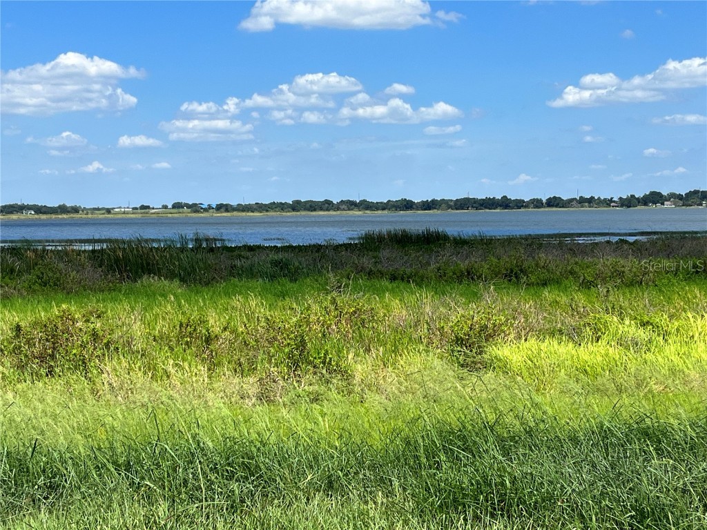 344 Caladium Ave Lake Alfred FL 33850 - LAKE ALFRED O6119632 image16