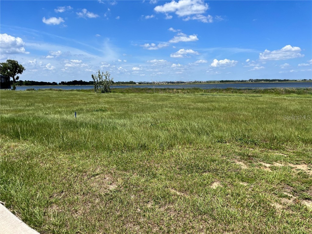 344 Caladium Ave Lake Alfred FL 33850 - LAKE ALFRED O6119632 image18