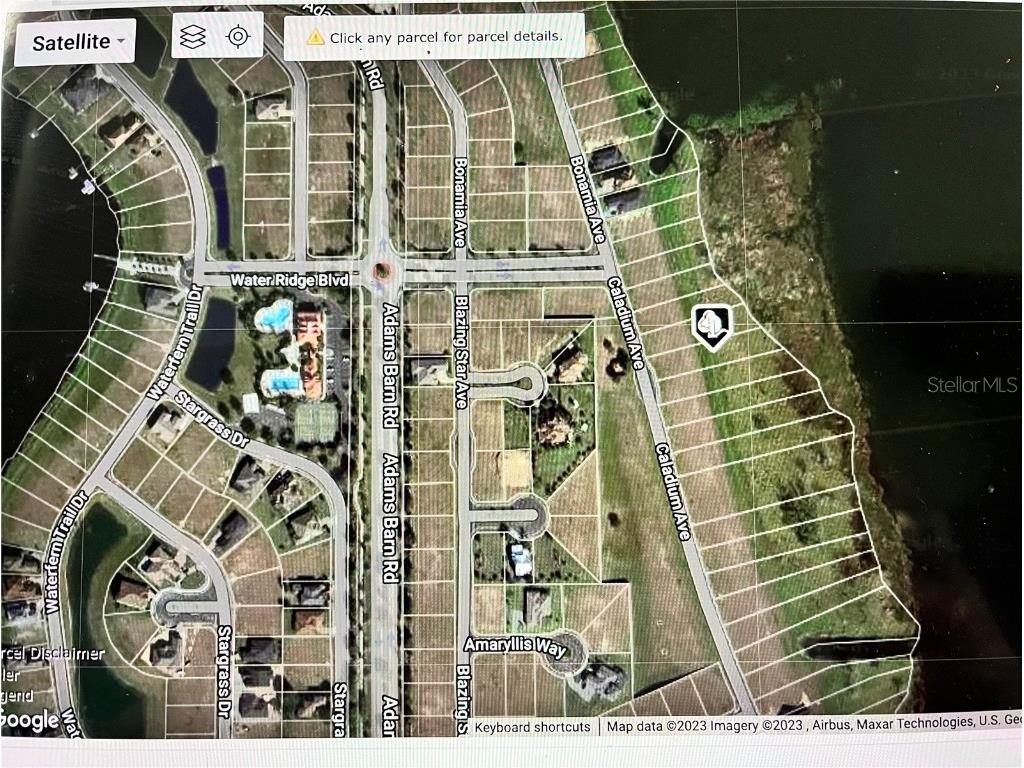 344 Caladium Ave Lake Alfred FL 33850 - LAKE ALFRED O6119632 image3