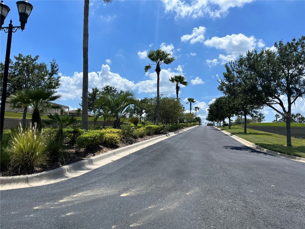 344 Caladium Ave Lake Alfred FL 33850 - LAKE ALFRED O6119632 image40