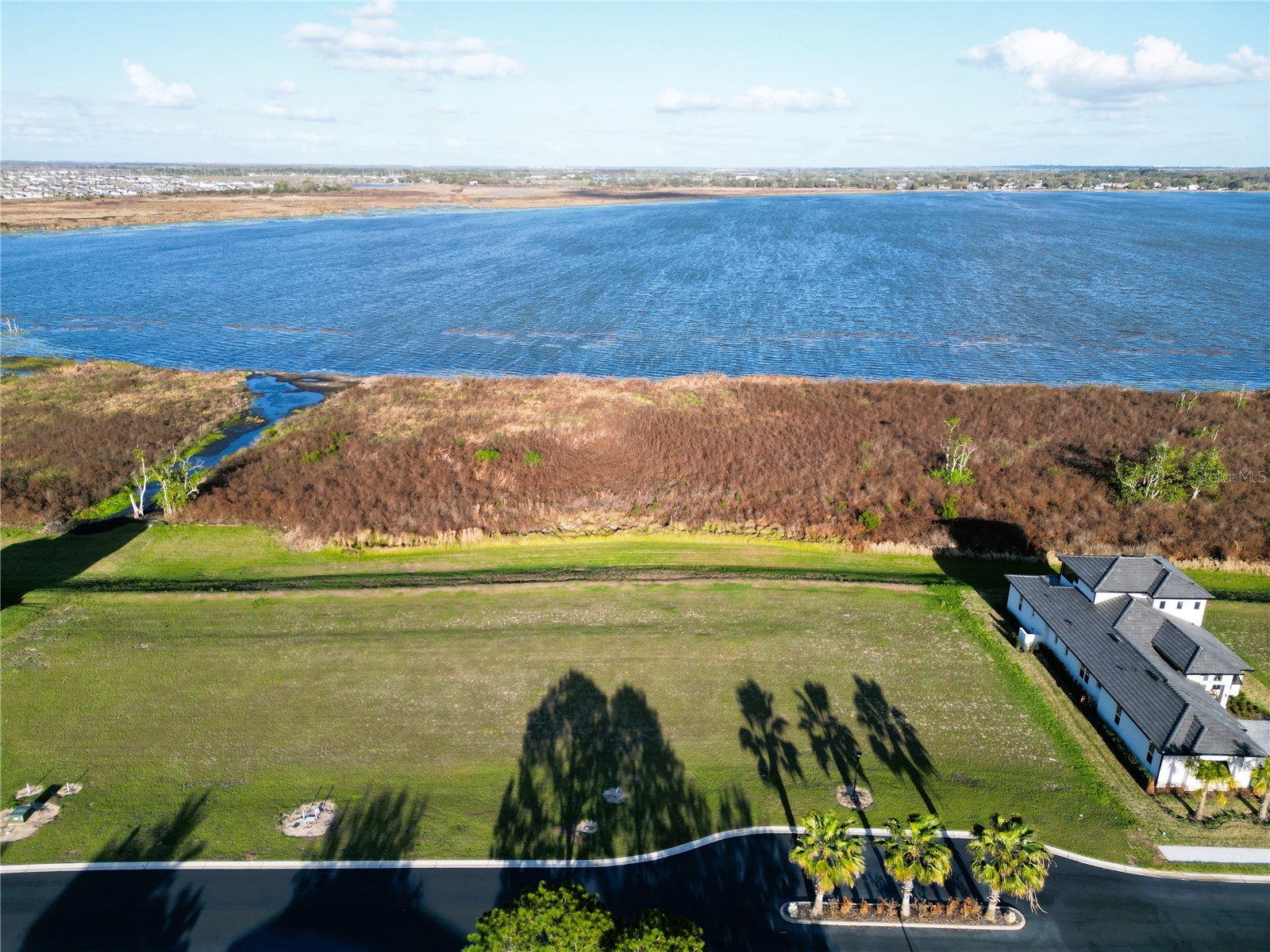 344 Caladium Avenue Lake Alfred FL 33850 - 3 LAKES: ALFRED VAN MEDORA L4959889 image2