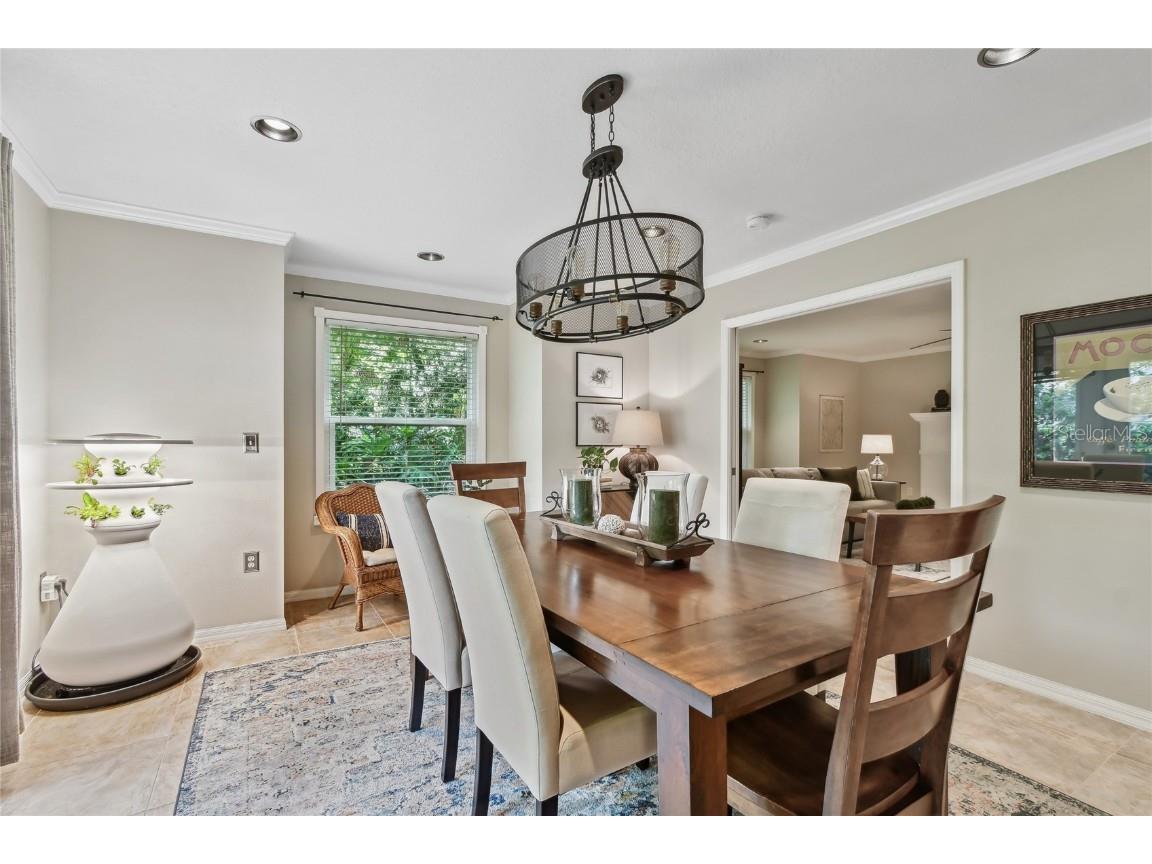 344 Cascade Lane Palm Harbor FL 34684 TB8396232 image22