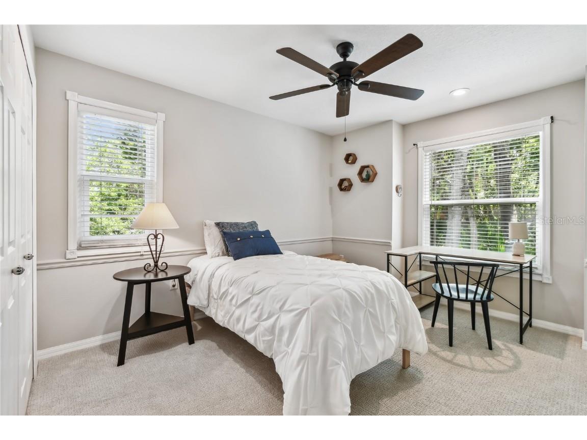 344 Cascade Lane Palm Harbor FL 34684 TB8396232 image54