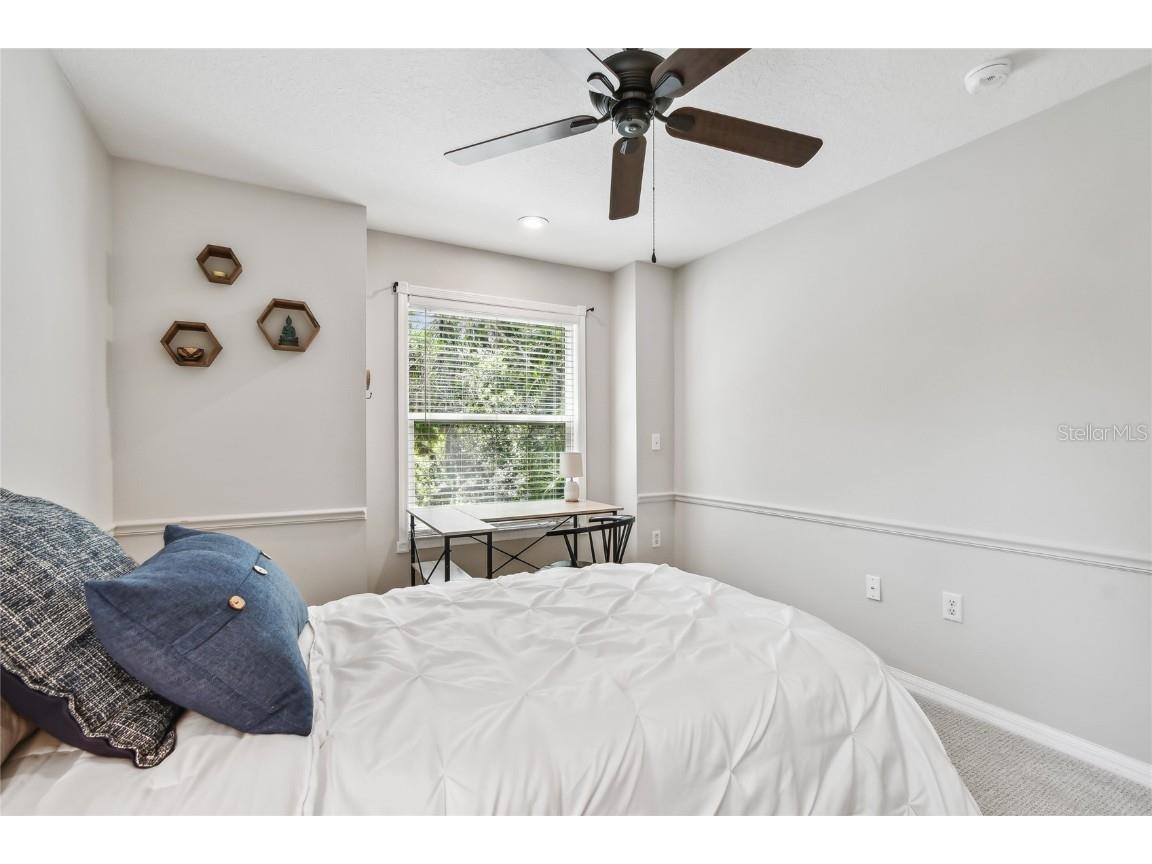 344 Cascade Lane Palm Harbor FL 34684 TB8396232 image56