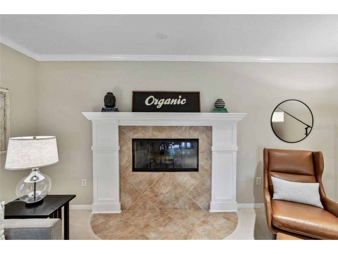 344 Cascade Lane Palm Harbor FL 34684 TB8396232 image6