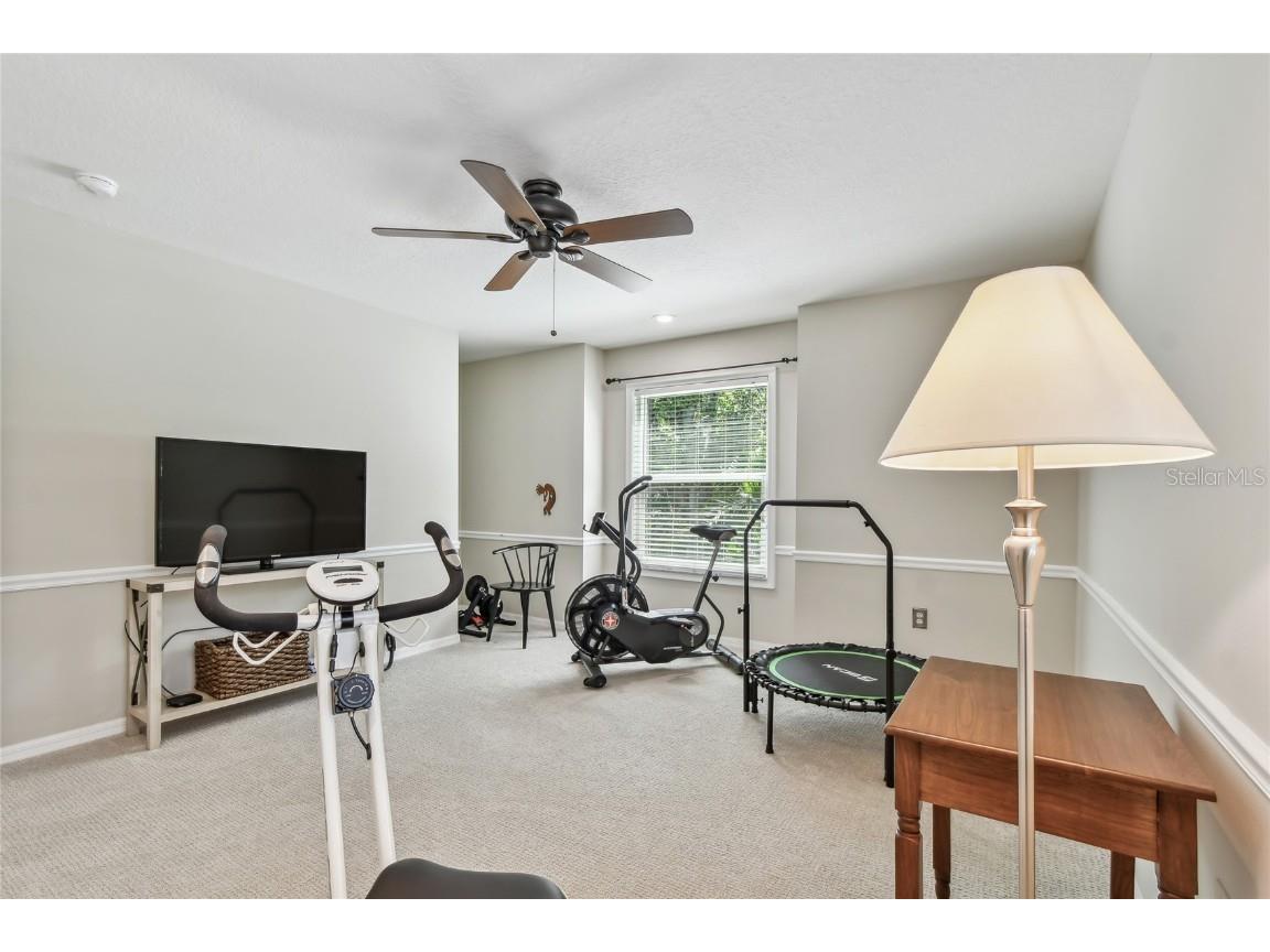 344 Cascade Lane Palm Harbor FL 34684 TB8396232 image62