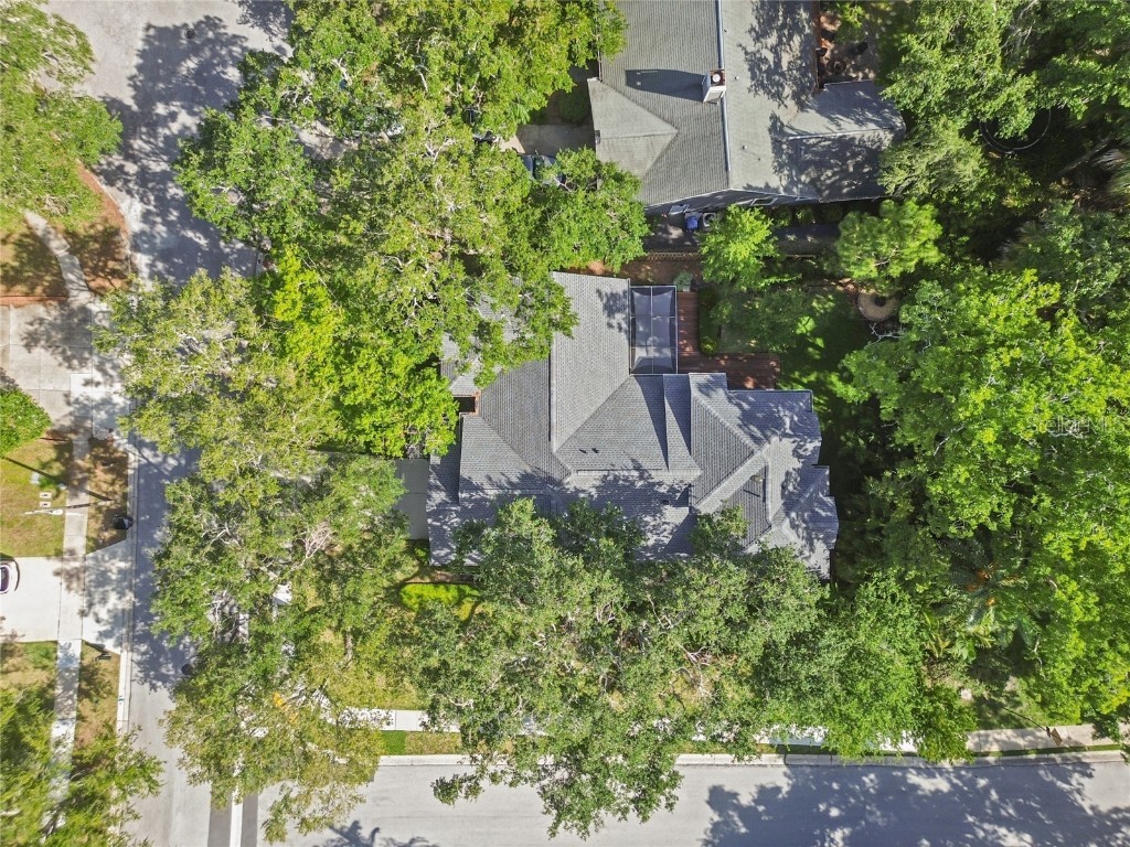 344 Cascade Lane Palm Harbor FL 34684 TB8396232 image83