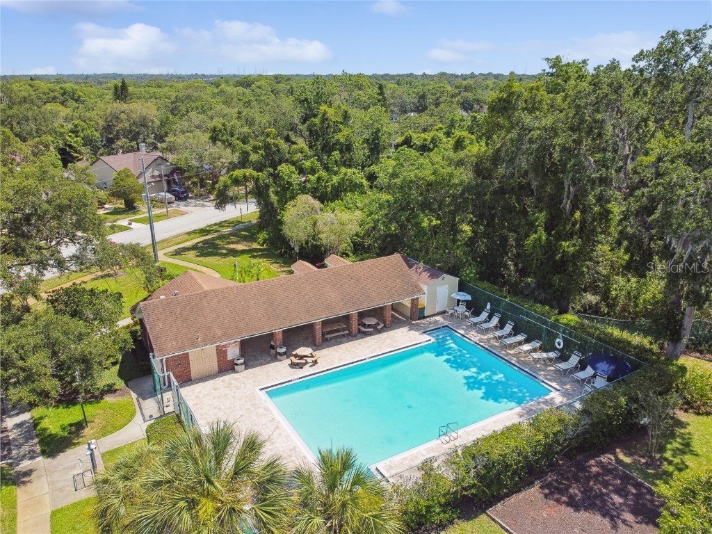 344 Cascade Lane Palm Harbor FL 34684 TB8396232 image93