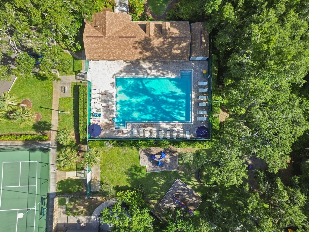 344 Cascade Lane Palm Harbor FL 34684 TB8396232 image94