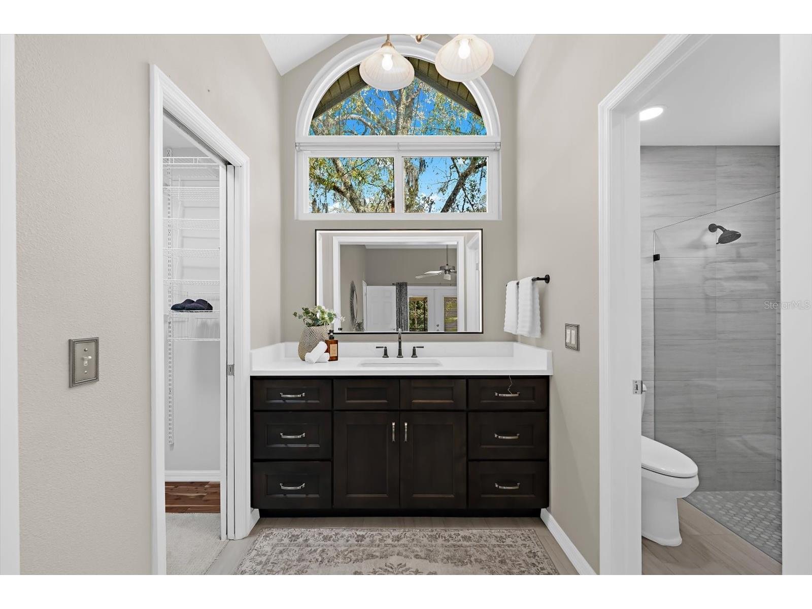 344 Cascade Lane Palm Harbor FL 34684 TB8474280 image16