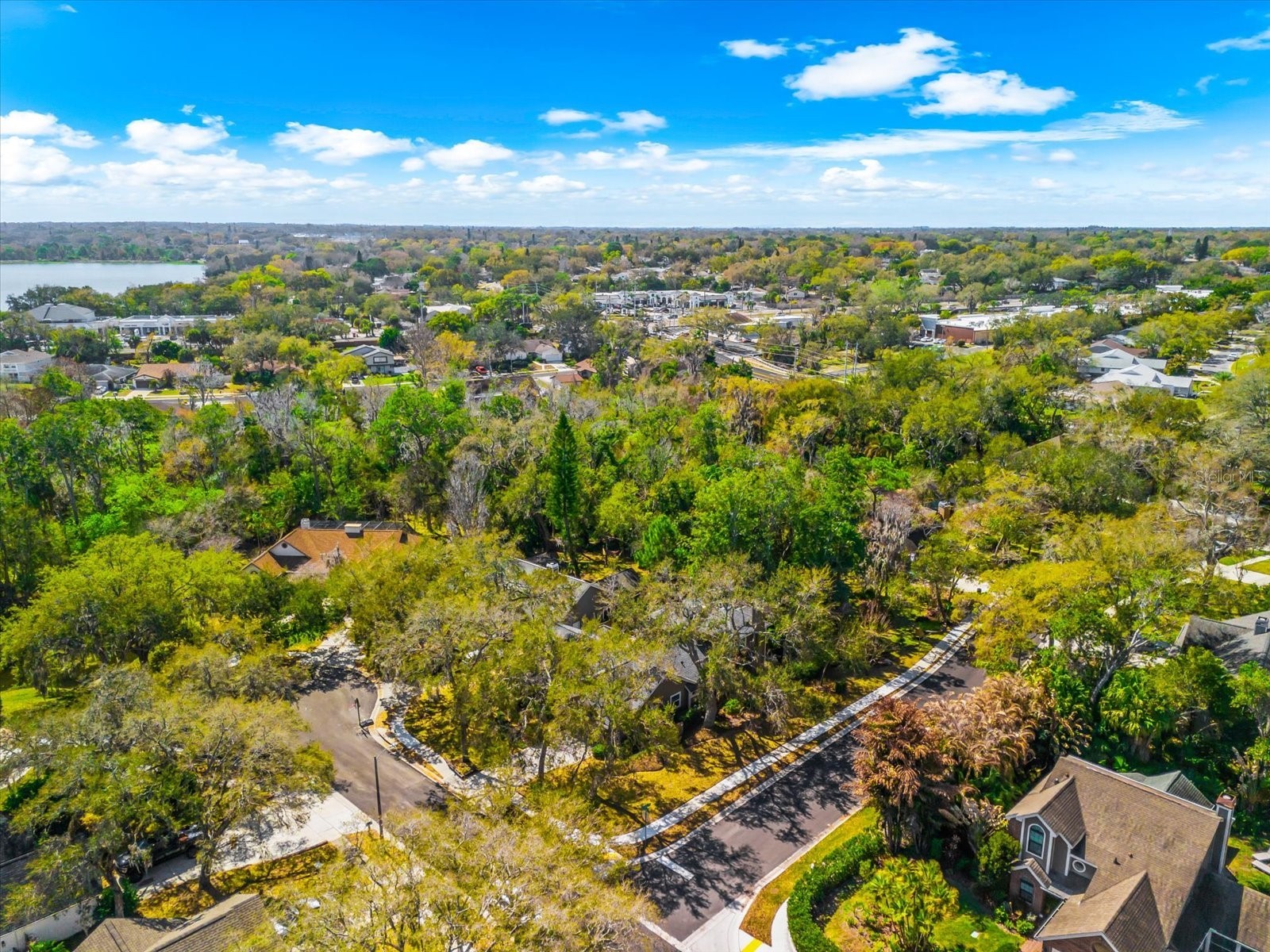 344 Cascade Lane Palm Harbor FL 34684 TB8474280 image60