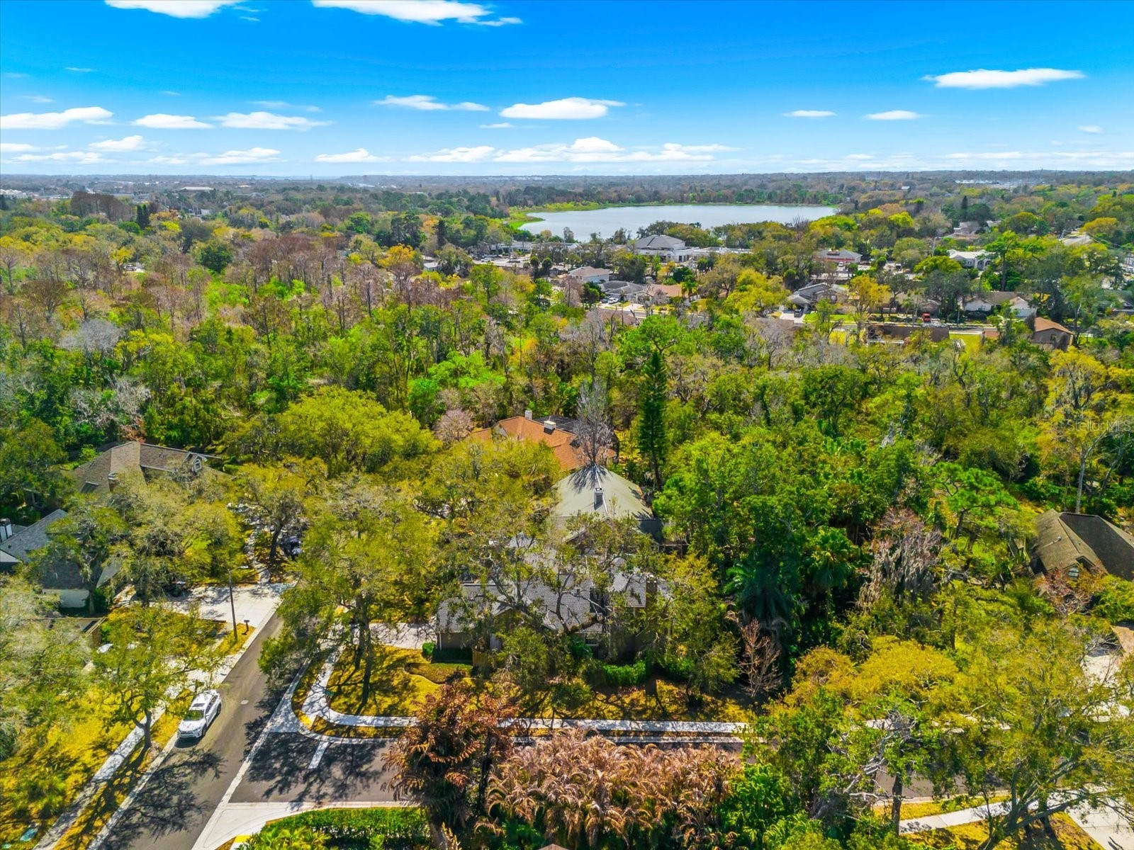 344 Cascade Lane Palm Harbor FL 34684 TB8474280 image61