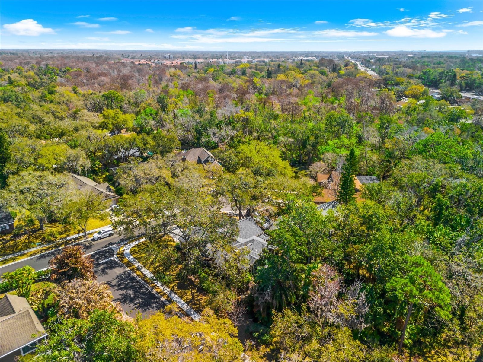 344 Cascade Lane Palm Harbor FL 34684 TB8474280 image62