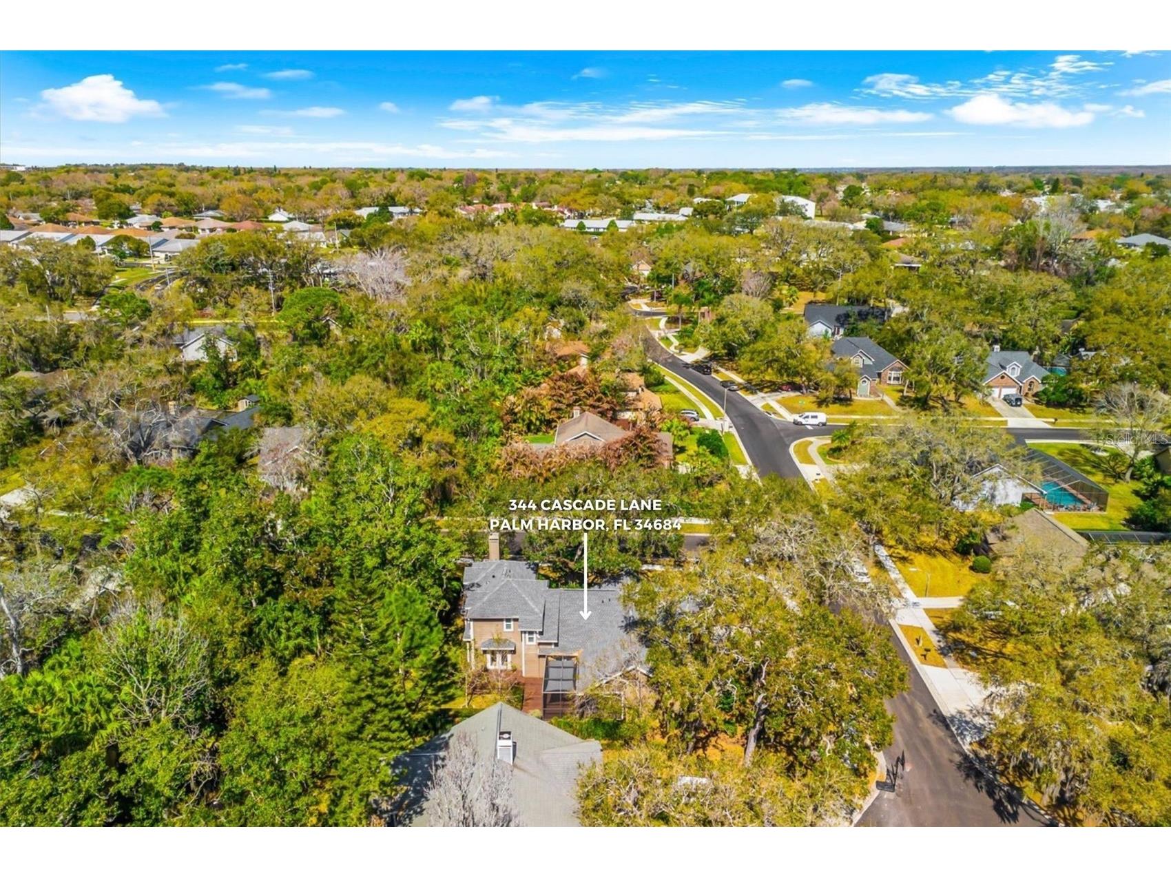 344 Cascade Lane Palm Harbor FL 34684 TB8474280 image63